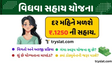 Vidhva Sahay Yojana Gujarat | વિધવા સહાય યોજના | ગંગા સ્વરૂપ યોજના